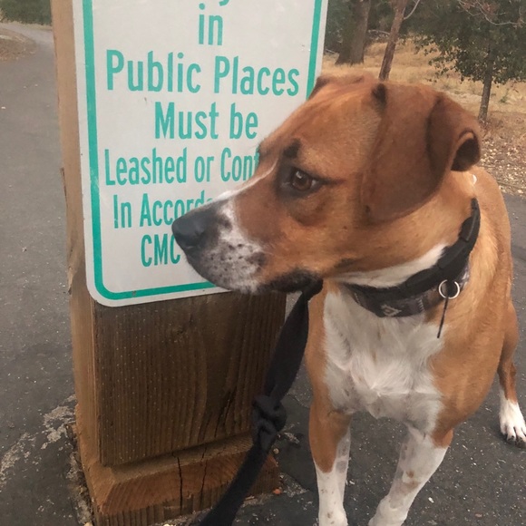 Lori & Roadie say hi! - Picture 12 of 15